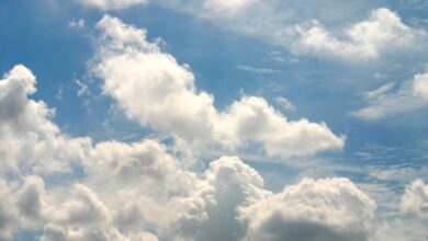 Cloud CRM System: Enhancing Customer Relationships And Data Security